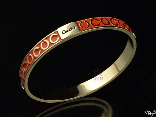 Bracciale Coach Modello 84